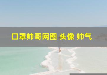 口罩帅哥网图 头像 帅气